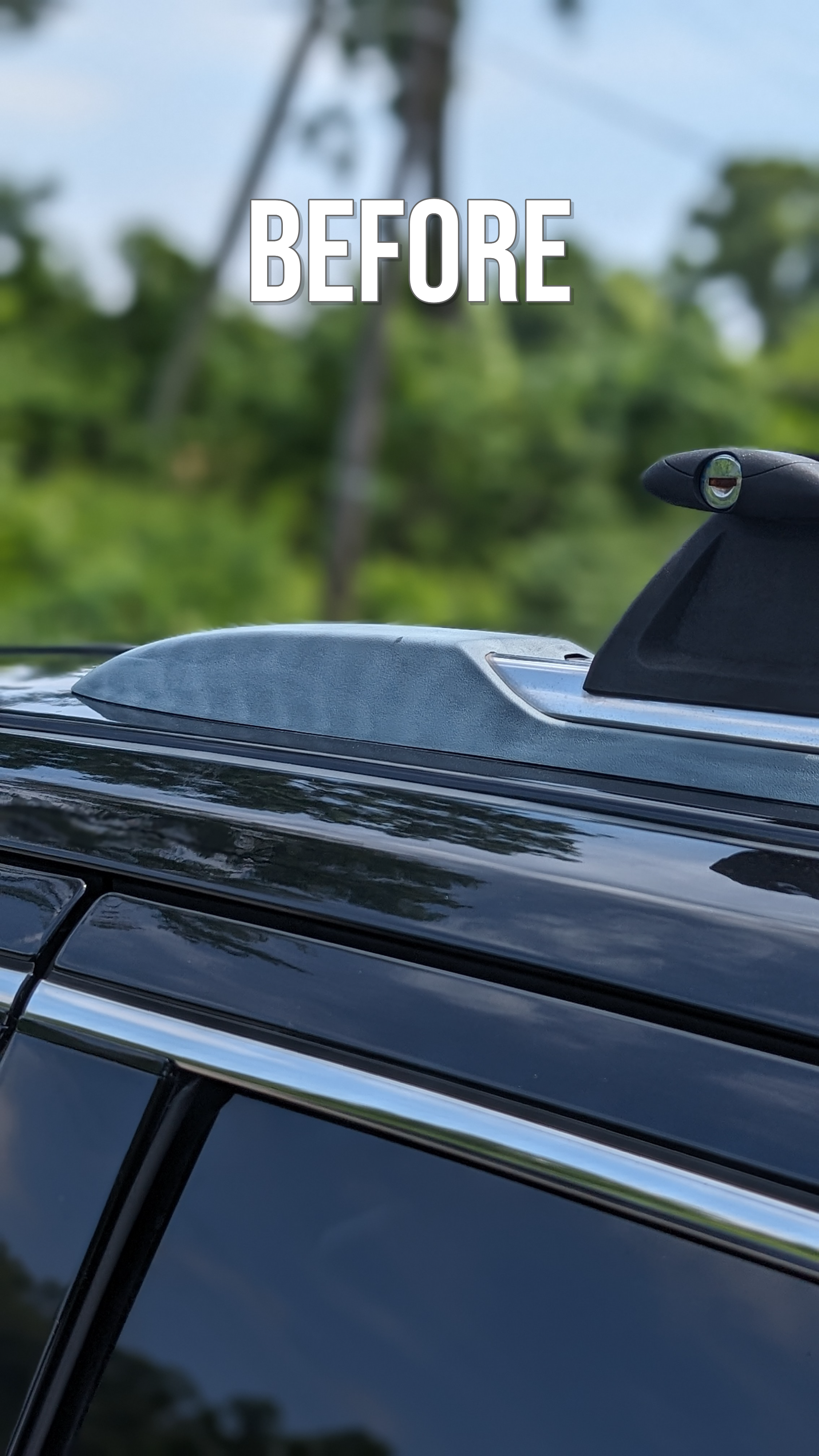 *NEW* Insane PVR Spray