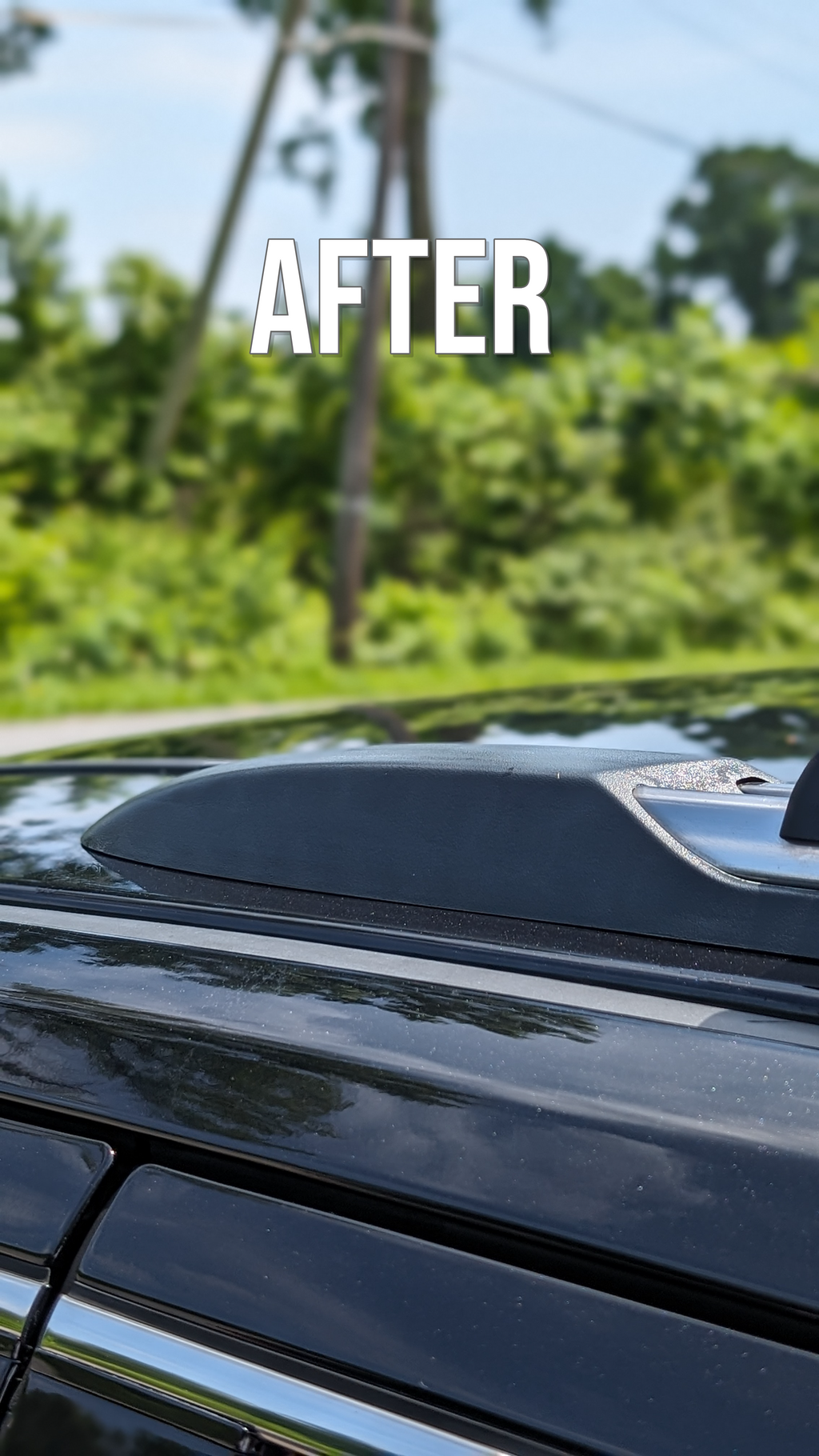 *NEW* Insane PVR Spray