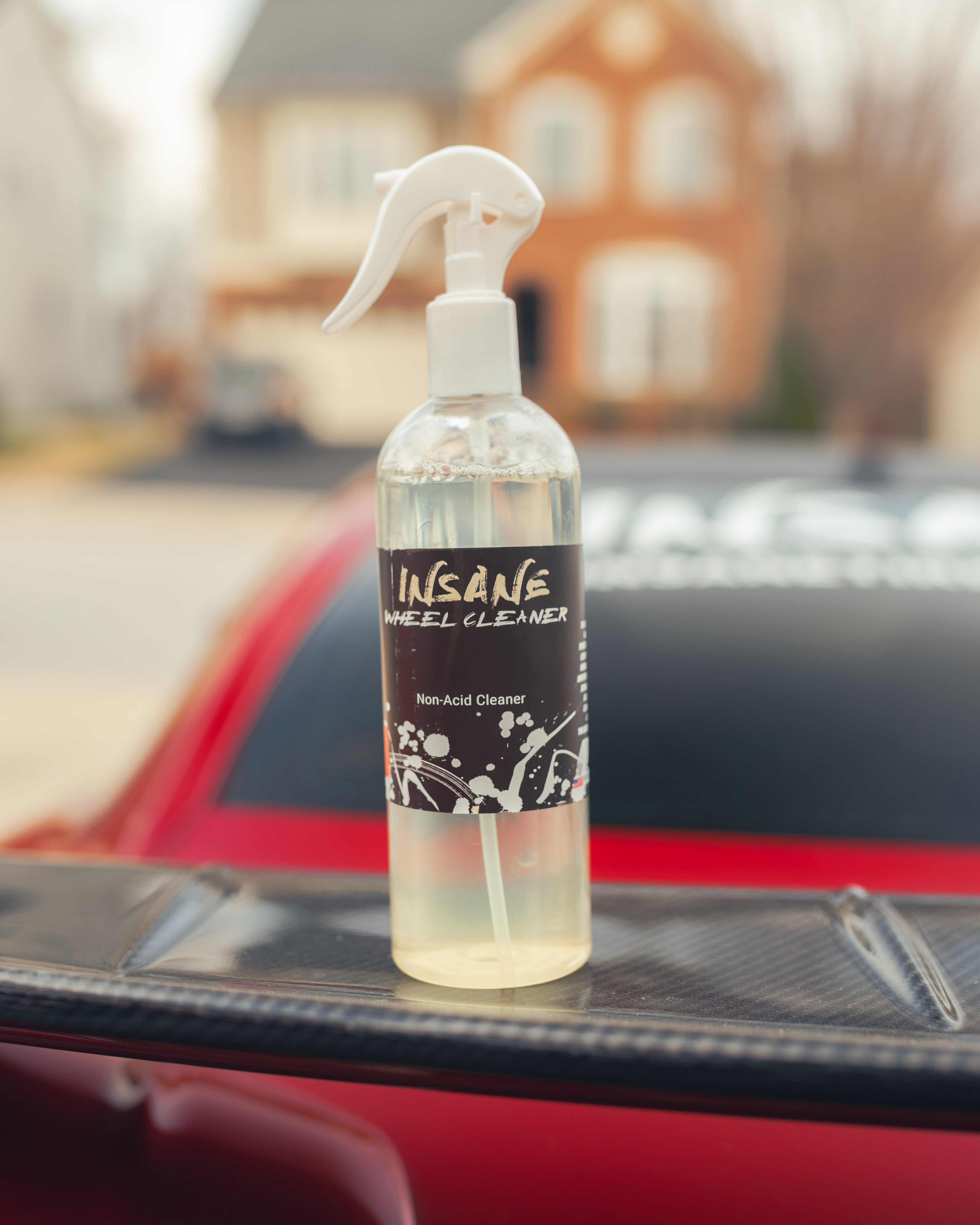 Standard Insane Cleaning Kit